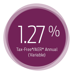 Flexible Cash ISA icon Flexible Cash ISA icon